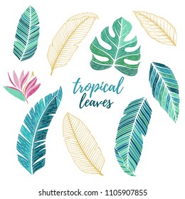 Vector tropical set with tropical flower, banana leaf, palm. Hand drawn vector illustration. Stock vector.
