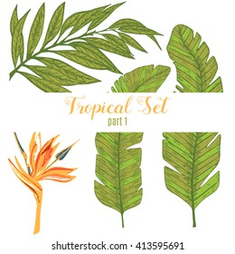 Vector tropical set with tropical flower, banana leaf, palm. Hand drawn vector illustration. Stock vector.