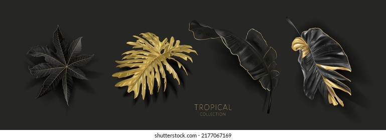 Vector tropical set with gold and black leaves on black background. Luxury exotic botanical elements for wedding invitation, cosmetics design, summer banner, perfume, beauty, travel, packaging design