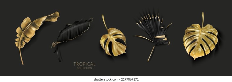 Vector Tropical Set With Gold And Black Leaves On Black Background. Luxury Exotic Botanical Elements For Wedding Invitation, Cosmetics Design, Summer Banner, Perfume, Beauty, Travel, Packaging Design
