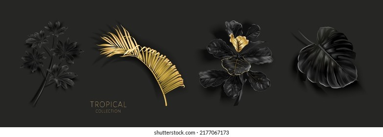 Vector tropical set with gold and black leaves on black background. Luxury exotic botanical elements for wedding invitation, cosmetics design, summer banner, perfume, beauty, travel, packaging design