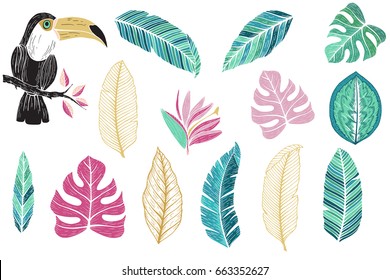 Vector tropical set with tropical leaf, toucan. Hand drawn tropical vector illustration.Tropical fruits.Stock vector.