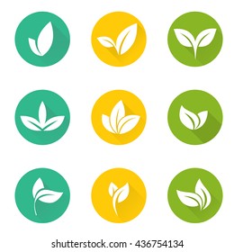 Vector tropical set leaves. 