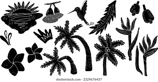 Vector tropical set. Palm trees, flowers, animals. Black hand drawn linocut style, grunge rough old texture. Element for design.