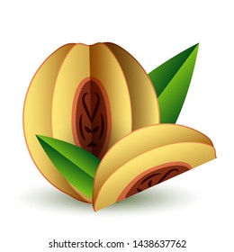 Vector tropical summer exotic fruit paper cut volumetric. Origami. Isolated color object on white background. Orange Peach Apricot and Slice