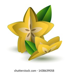 Vector tropical summer exotic fruit paper cut volumetric. Origami. Isolated color object on white background. Cannon carambola and lobule