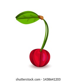 Vector tropical summer exotic fruit paper cut volumetric. Origami. Isolated color object on white background. Red delicious cherry sweet cherry.