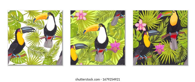 Vector tropical toucan birds with orchid flowers,  philodendron areca palm, fan palm seamless pattern collection.