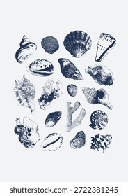 Vector tropical underwater style poster of seashells and corals collection Isolated on white background. Card for interior design, prints, fabric or background.