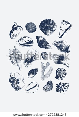 Vector tropical underwater style poster of seashells and corals collection Isolated on white background. Card for interior design, prints, fabric or background.