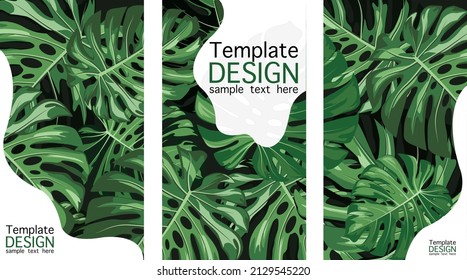 Vector tropical vertical banners set with monstera leaves on background.Template for designe