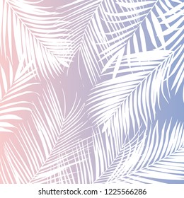 Vector tropical white palm leaves on pink background