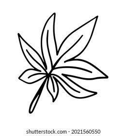 Vector tropical wild cannabis leaf isolated on white background. Medical marijuanas illustration for seasonal design, textile, decoration adult playroom or greeting card. Hand drawn prints and doodle.