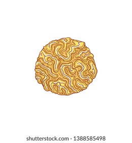 Vector tropical yellow soft coral icon. Aquatic reef underwater sponge plant . Hand drawn ocean and sea flora and fauna. Isolated illustration