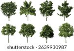 Vector tropics collection, green trees shapes, cutout set, transparent backgrounds PNG, tropical leaves, nature symbols, tree silhouette graphics, palm trees, jungle vector icons