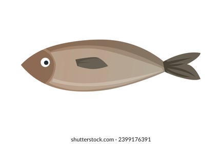 Vector trout salmon taimen seafood underwater water delicacy gourmet fishing vector illustration.