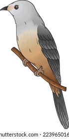 vector trucukan bird, a bird with a beautiful voice