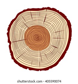 Vector Trunk and rings of Tree. Color Illustration.