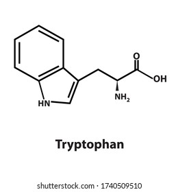 Vector of Tryptophan chemical structure
