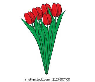 Vector tulip bouquet isolated on a white background.