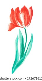 Vector tulip flower