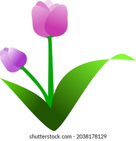 Vector of tulip flower garden 