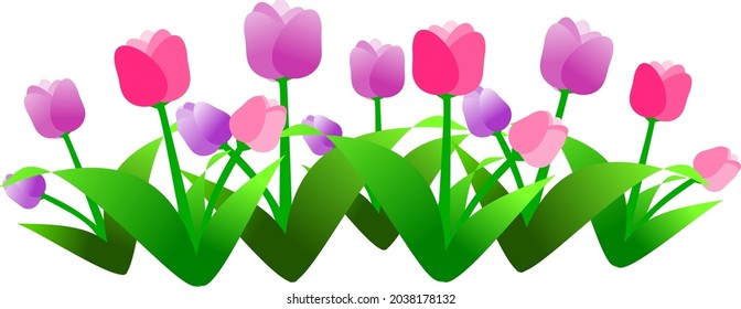 Vector of tulip flower garden 