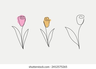 Vector tulip flower line art with color petals