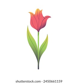 Vector Tulip Flower Spring Plant Cartoon Illustration Isolated