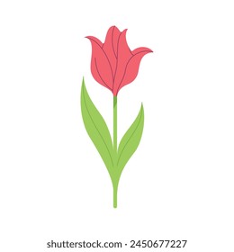 Vector Tulip Flower Spring Plant Cartoon Illustration Isolated