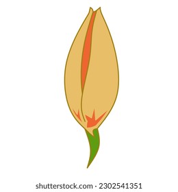 Vektortuppenblume, weißer Hintergrund.