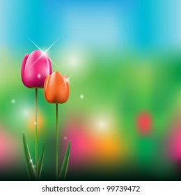 Vector tulip landscape