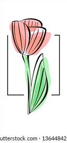 Vector tulip on a white background, outline, imitation of watercolor. Modern flat vector illustration.