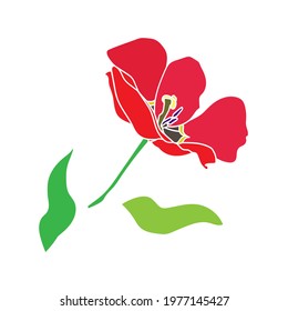 Vector Tulip Pattern. Image on a white and colored background.