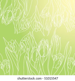 Vector tulips