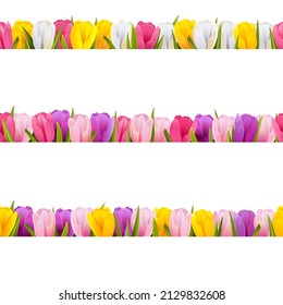 Vector Tulips Borders isolated on white background