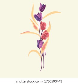 Vector tulips. Colorful tulips on white background. Botanical art. Greeting card vector. 