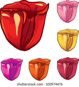 Vector tulips in different colors