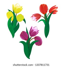 Vector tulips flower spring bouquet floral set with diffrent blooming red yellow and purple garden blossom illustration isolated on white background Perfect to use in postcard or greeting card design