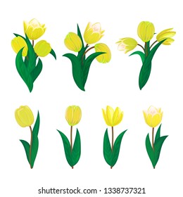 Vector tulips flower spring bouquet floral set with diffrent blooming yellow garden blossom illustration isolated on white background Perfect to use in postcard or greeting banner graphic design