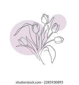 Vector tulips line art with pink shapes on white background. Tulips bouquet outline. Spring flowers