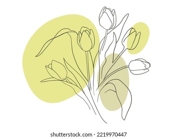 Vector tulips line art with shapes on white background. Tulips bouquet outline. Spring flowers