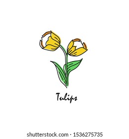 [vector] [Tulips on white background] [Flat Cartoon Style]