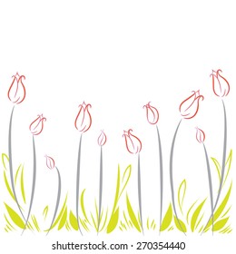 Vector Tulips on white background.