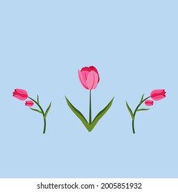 Vektortulips sind einfach konzipiert, für Dekorationszwecke oder für andere Zwecke verwendet.