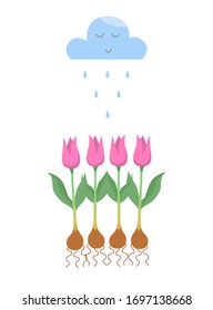 Vector tulips under a rain cloud isolated