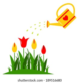 vector tulips and watering can isolated on white background