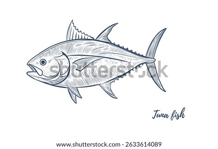 Vector tuna fish line art illustration, graphic sea food, style of old engraving, vintage, realistic. Tuna fish. Great for menu designs, Ideal for menus, food branding, packaging and summer designs