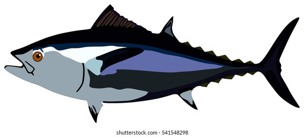 Vector Tuna Fish lives is ocean and under deep blue water life one of top sea predators