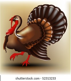 Vector turkey